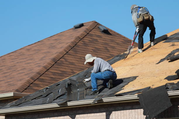 Best Roof Replacement  in Nes, IL