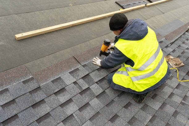 Best Green or Eco-Friendly Roofing Solutions  in Nes, IL