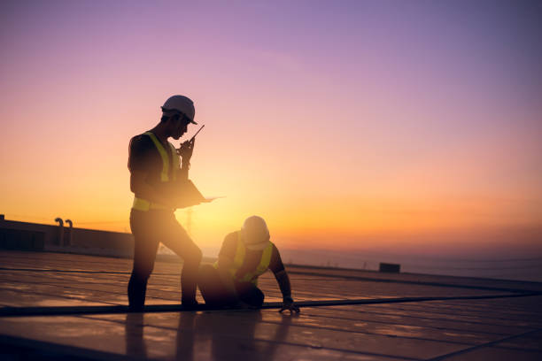 Best Roof Moss and Algae Removal  in Nes, IL