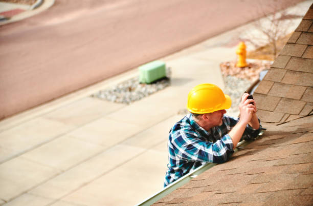 Best Roof Insulation Installation  in Nes, IL