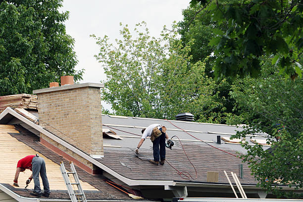 Best Storm Damage Roof Repair  in Nes, IL