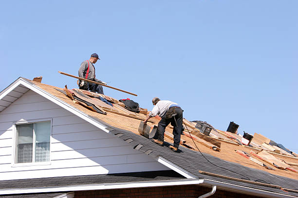 Trusted Niles, IL Roofing services Experts