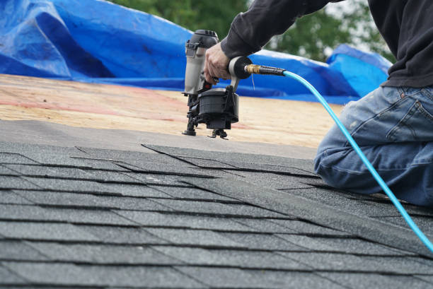 Best Cold Roofs  in Nes, IL