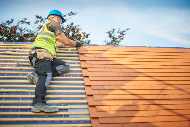 Best Commercial Roofing Services  in Nes, IL